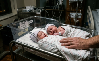 Newborn twins at the hospital